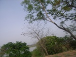 3791RIMG0095.JPG