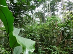 45966CIMG0255.JPG