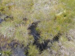 24904DSC00011.JPG