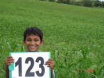 124560123c-rainfed-agriculture-millet.gif