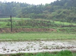51703CIMG0625.JPG