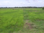 33378RIMG0118.JPG
