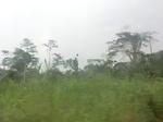 49920CIMG6257.JPG