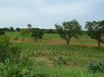 18779P1000617.JPG