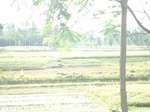 21820DSC08378.JPG
