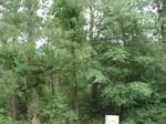 32250p22_s.jpg