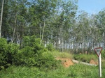 33669IMG_5871.JPG