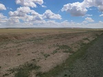 38375CIMG0217.JPG