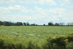 2024-09-24_15-20-40_4AE7B0F0-19D4-4A95-B681-07201A97AEE1.jpeg