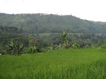 15164IMG_3984.JPG
