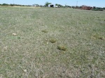 28856WATO20110412N.JPG