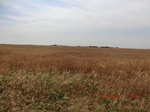 29867CIMG1360.JPG