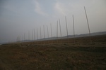 4270IMG_8909.JPG