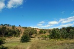 28710P1010727-1.JPG