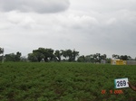 129660269d-irrigated-supplemental-groundwater-openwell-mixed-crop-chilli-dominant-cotton-maize.gif