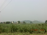 32741CIMG1873.JPG