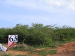 1182563-scruland-scattered-2m-a.gif