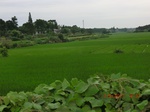 53971CIMG4653.JPG