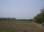 3854RIMG0158.JPG