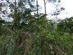 46438CIMG0727.JPG