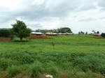 18827P1000666.JPG