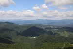 2024-08-05_13-51-08_7AE8941A-E748-4D08-BFC4-A0B533FEAA98.jpeg