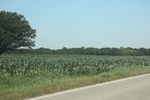 2024-06-17_21-26-53_18FA100A-40A8-4FA3-9966-745D83D17427.jpeg