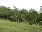 44576CIMG1761.JPG