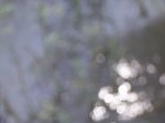 6132007-08-05_10-32-58_small.jpg