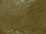 58086CIMG2380.JPG