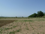 19234P1010080.JPG
