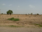 19092P1000937.JPG