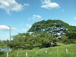 5770100_1365.JPG