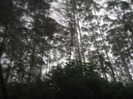 13450IMG_3833.JPG