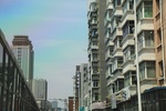 2024-08-05_16-15-36_987B1555-CA67-4E2C-8AC4-3D766AB3E283.jpeg