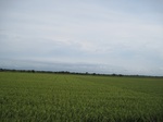 14295IMG_4635.JPG