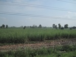 34470IMG_5453.JPG