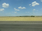 35270DSC02475.JPG