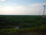 54298DSCN1571.JPG