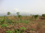 50413CIMG1042.JPG