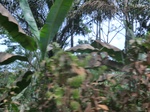49197CIMG5534.JPG