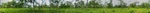 43628pic10.jpg