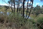 28408P1010419-1.JPG