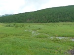23827P1040910.JPG