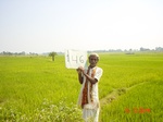 11362gt146-cropland-1.jpg
