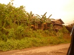 54962Berau (257).JPG