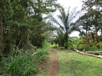 46248CIMG0537.JPG