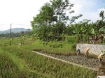 16298IMG_5071.JPG