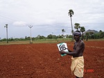 6389086b-irrigated-supplemental-minor-tubewell-maize-vegetables.jpg