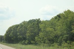 2024-09-24_16-31-38_0986C4E1-5D2D-410C-8478-F5A9711F43C0.jpeg